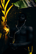 Nature’s Frequency